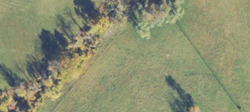 Equestrian Estate on 25 Acres