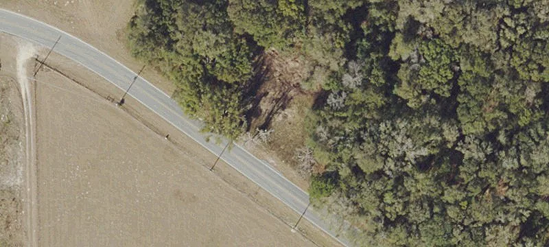 Land in Growing Crescent City