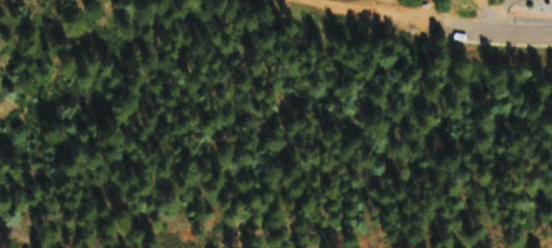 Land For Sale Larkspur