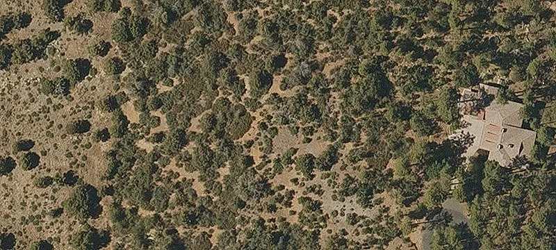 Pine-Covered Land in Gated Community