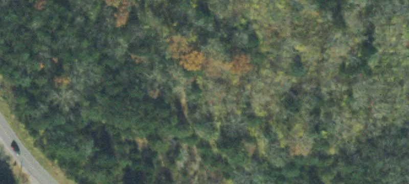 Franklin, TN Hillside Property