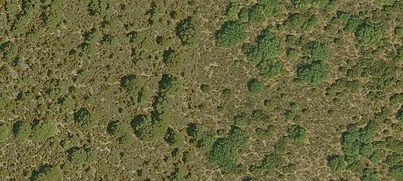 Expansive Land Parcel Available