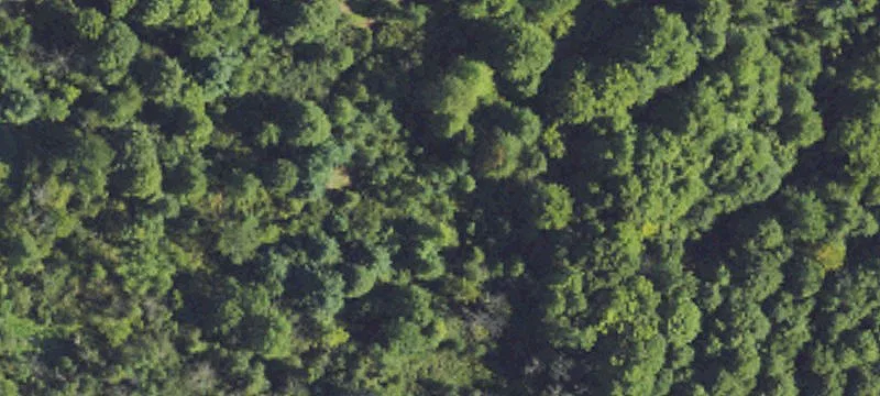37.70 Acre Residential Land Parcel