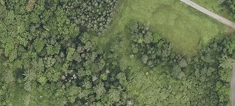 14-Acre Country Property with Utilities