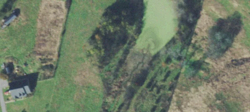 Pinnacle Farms Fenced Land
