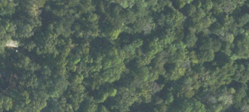 6.38 Acres in Danielsville, GA