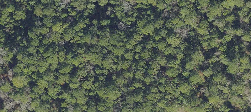 5-Acre Wooded Parcel Near Keystone