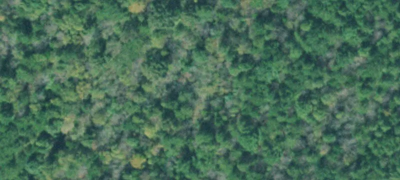 Dunlap, TN 10.12-Acre Tract