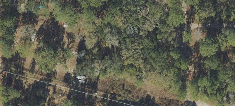 Tallahassee Wooded Homesite Opportunity