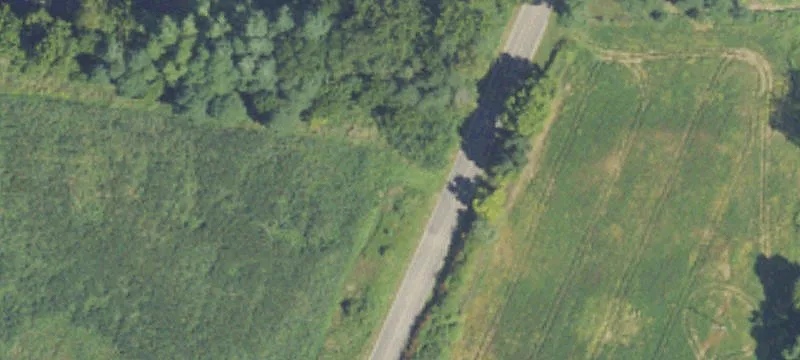 Commercial Land Near Leonidas