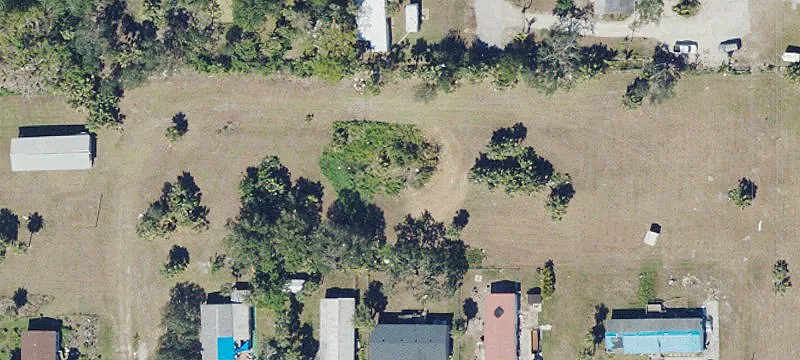 Shovel-Ready Land in Spring Woods