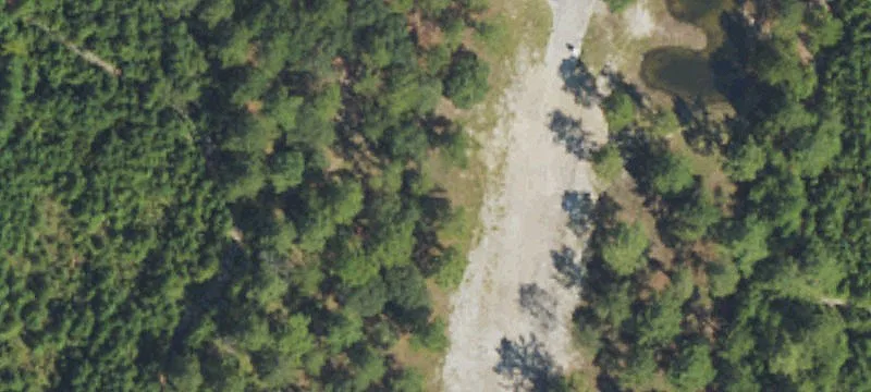 Wooded Lot in Coastal Community