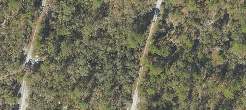 Two Buildable Lots in Lake