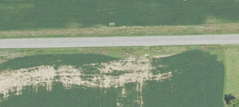 Productive Farmland in Medina Township