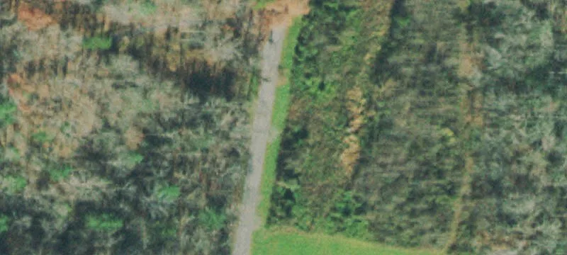 Equestrian Property with Trail Access