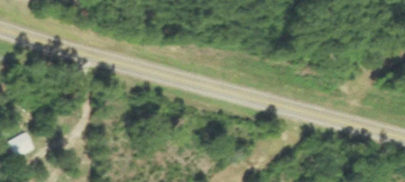 East Texas Timberland Ranch Property