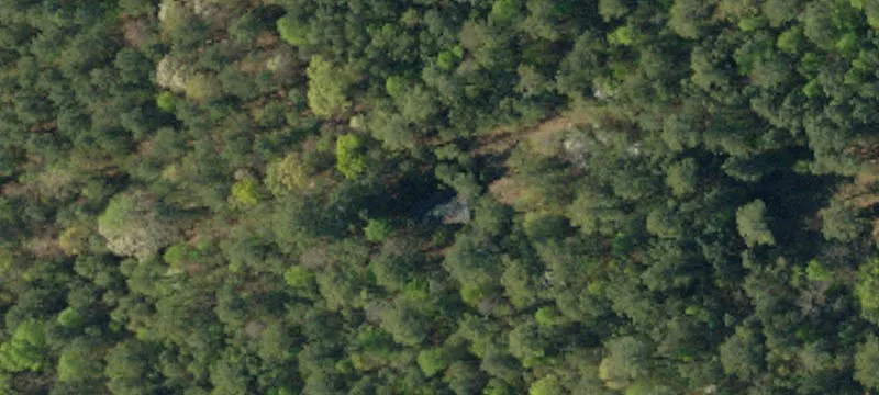 43 Acres on Crowe Creek