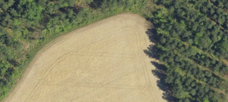 Cleared Homesite in Brunson