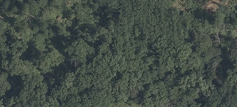 Greenville Homesite on Chateau Lane