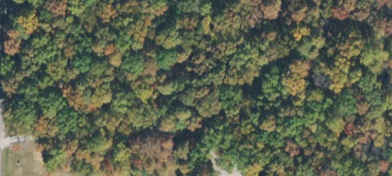 Unrestricted Land with Creek Access