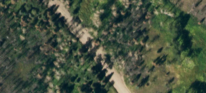 2.6 Acre Mountain Property