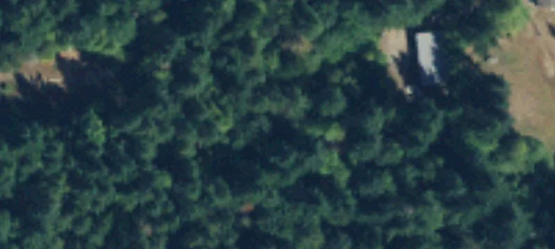 Wooded Land Parcel with Approved Plans
