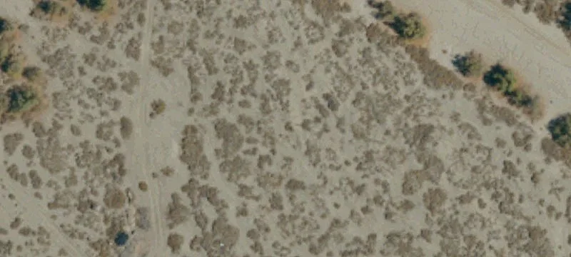 80 Acres of Land