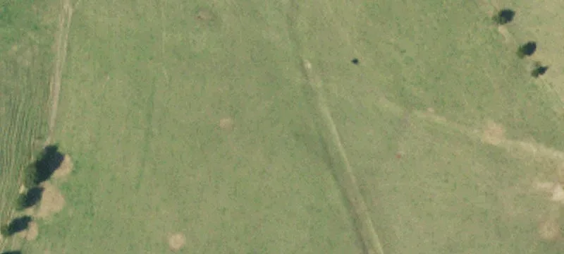 Premier Cattle Farm with Homes