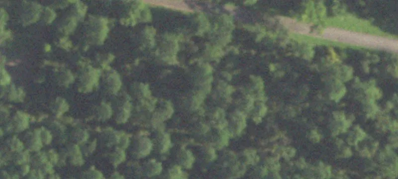 Residential Lot in Belleau Wood