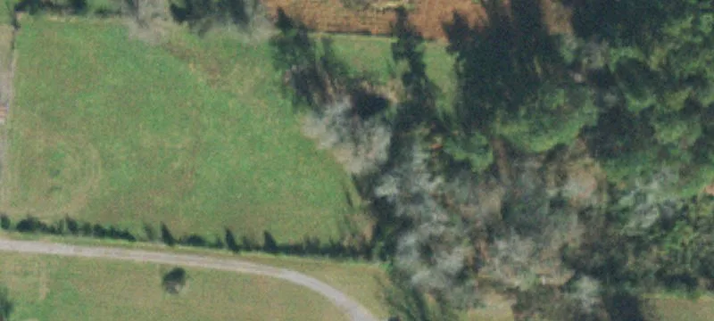 4.21 Acre Bradyville Land