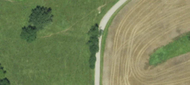 55 Acres of Tillable Farmland