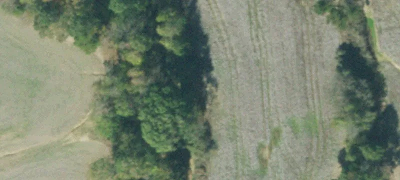 Haywood County Farmland Opportunity