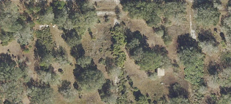 Cleared Acreage Near Kissimmee River