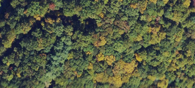 North Carolina Mountain Land Parcel