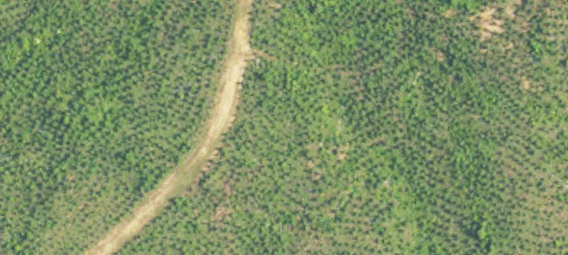 Alabama Land with Lodge