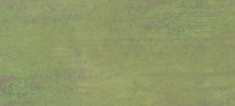 13.71 Acres Ready to Build