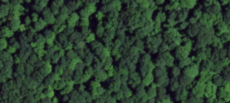 Secluded Wooded Land with Waterfall