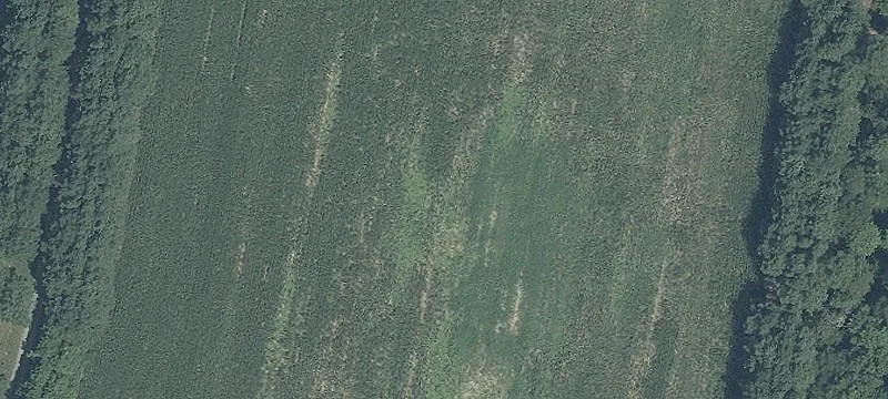 95+/- Acre Farm in Preston