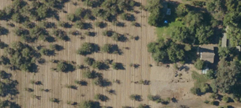 27.5 Acres Vineyard with Shop