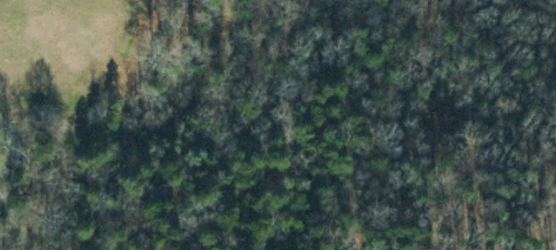 Williamson County Land Parcel
