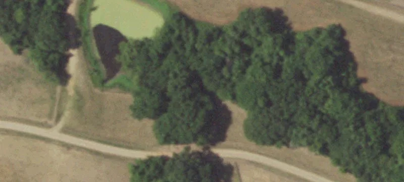 62-Acre Estate with Equestrian Amenities