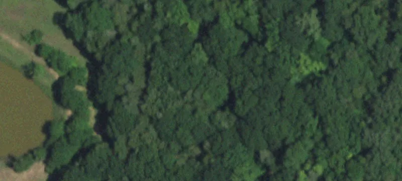 29.73 Acres Near Bois d’Arc Lake
