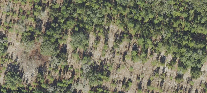 Apopka Land For Sale