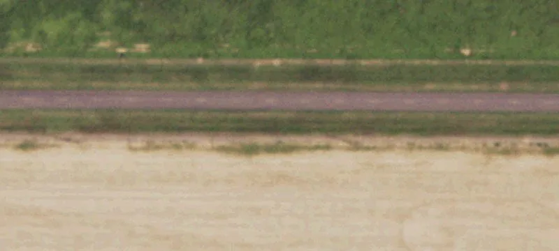 Productive Farmland in Texas Panhandle