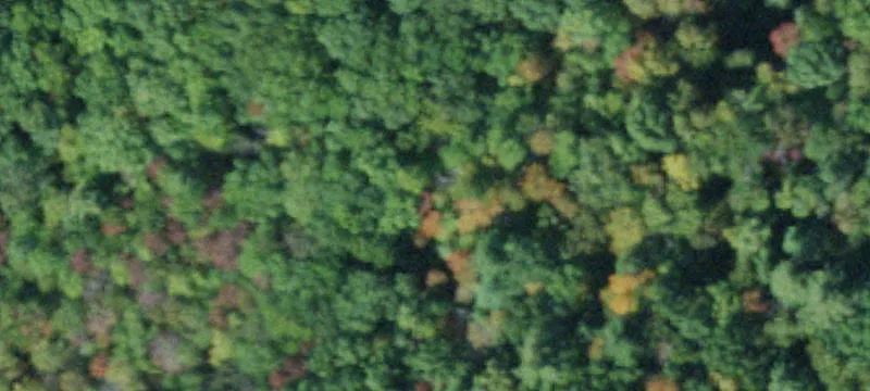 Tranquil Hudson Valley Land