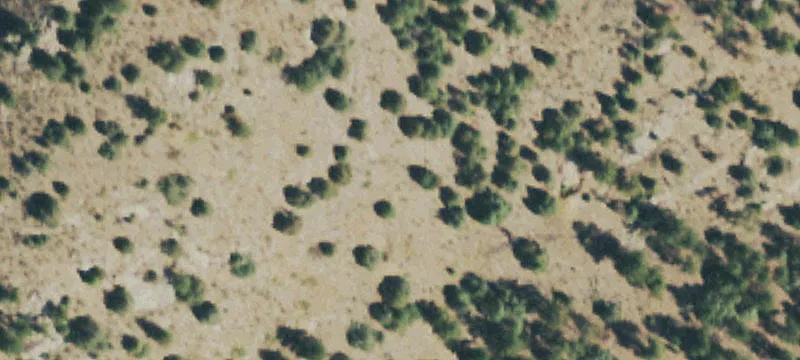 8.5 Acres Ready for Development