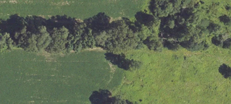 106 Acres Wooded Land