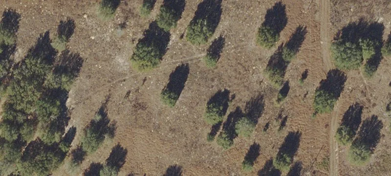 Vacant Lot in Inverness, FL