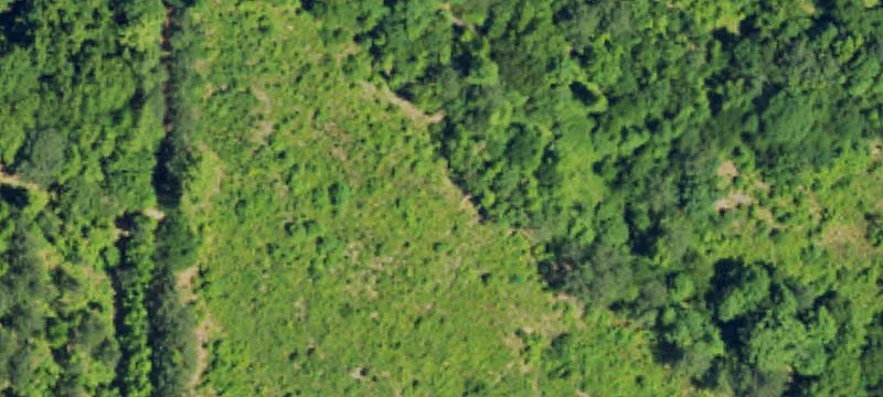 Undeveloped Land in Wake County