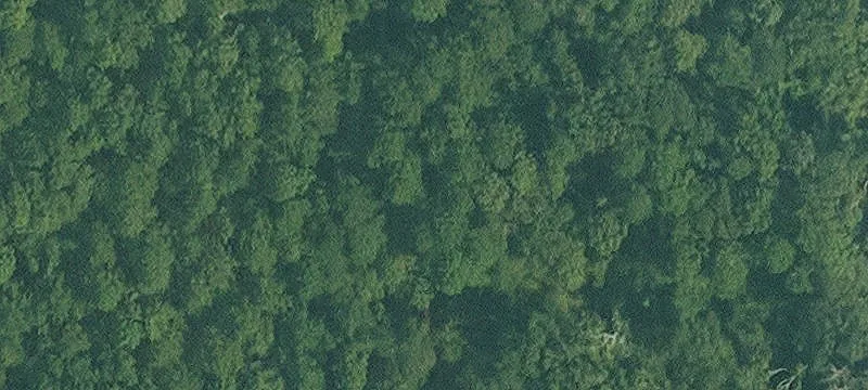 Iota Land Opportunity